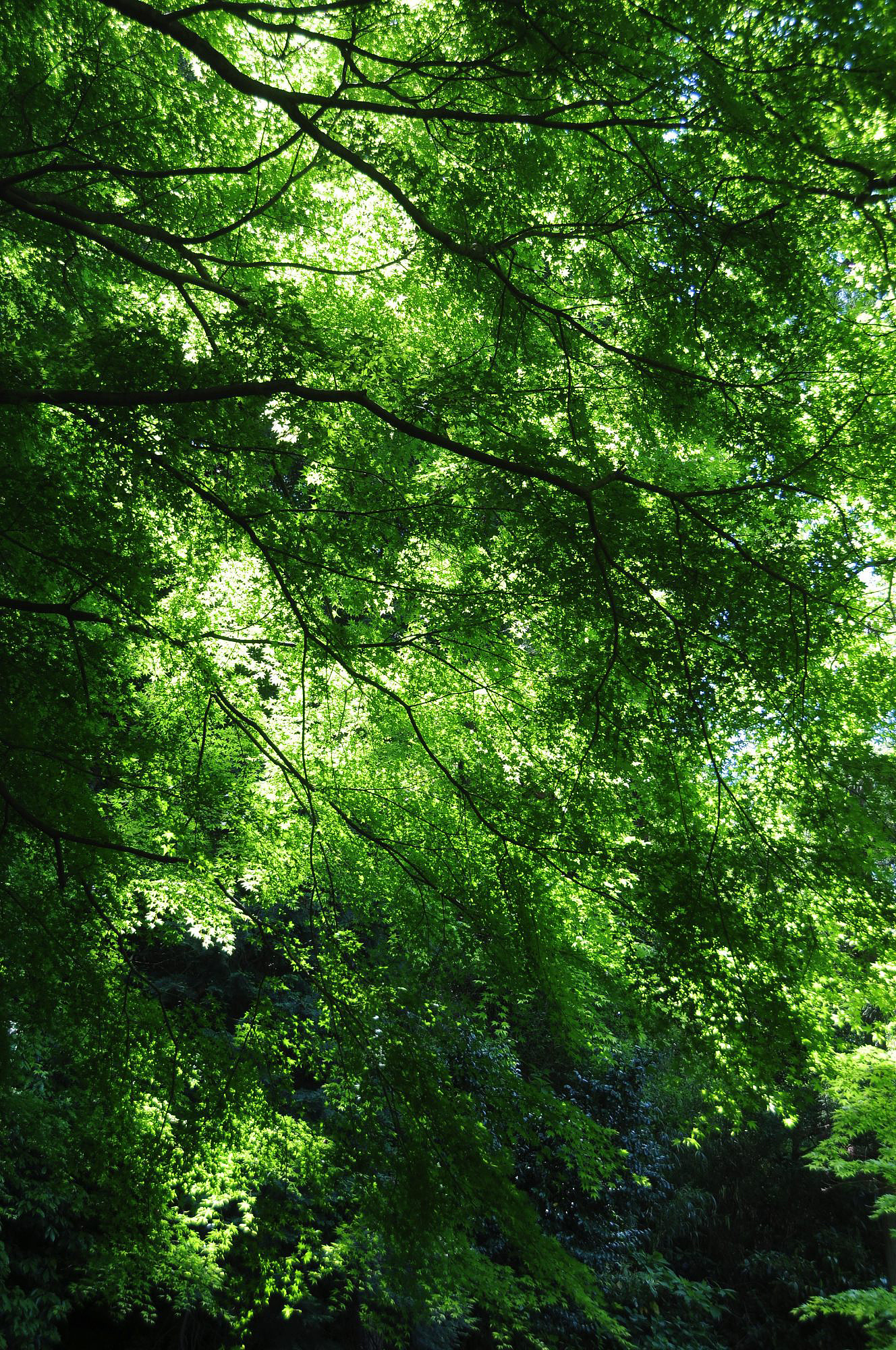 osm04300582.jpg